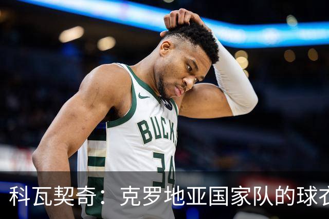 科瓦契奇：克罗地亚国家队的球衣，对我们而言是神圣的